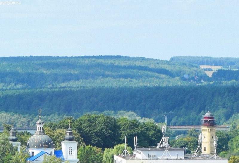 Лесопарк Пышки